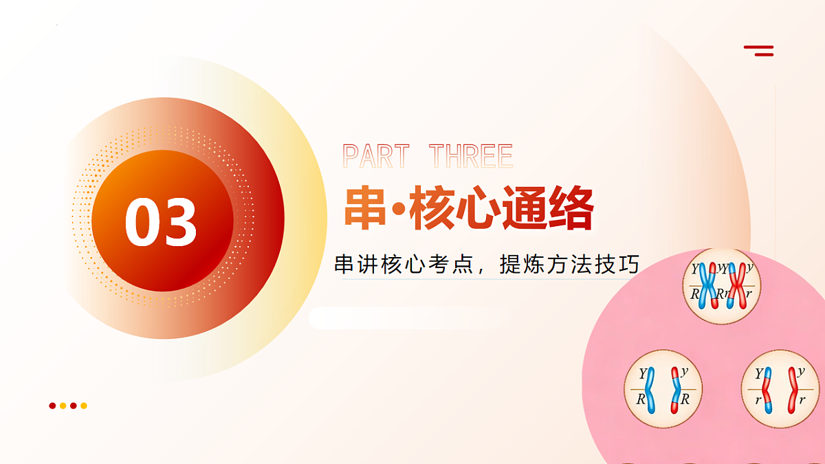 18202566第7页