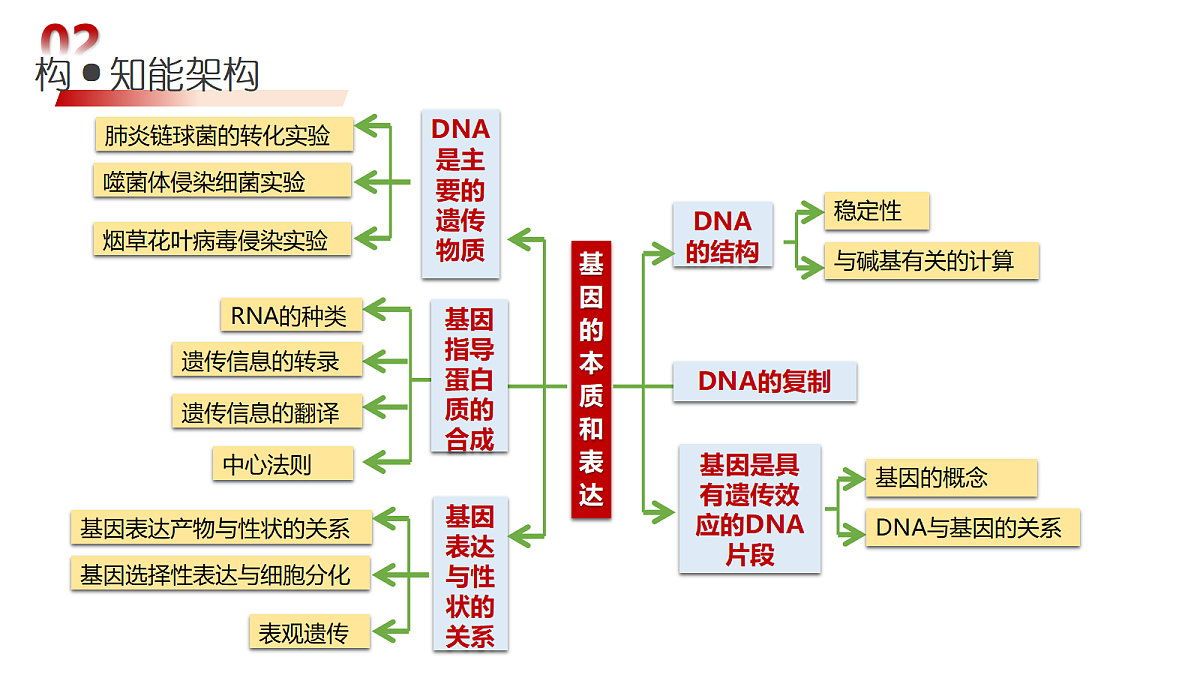 18202567第6页