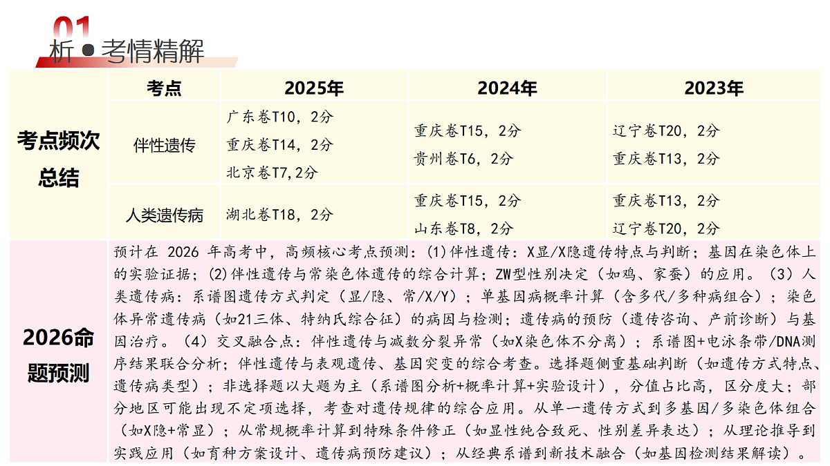 18202568第4页