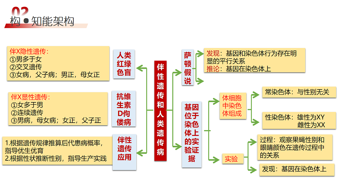 18202568第6页