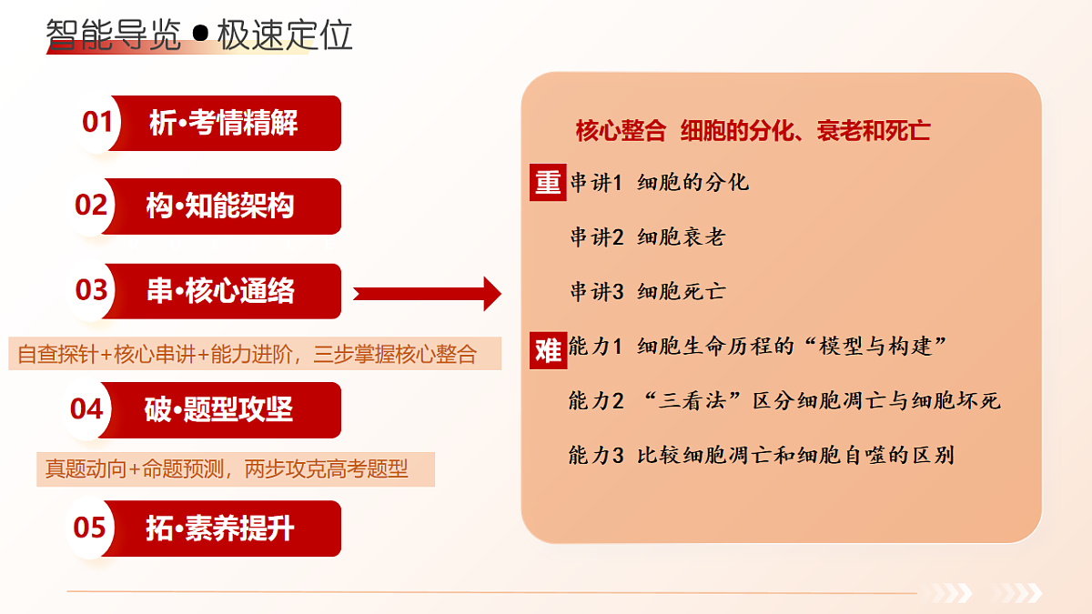 18202570第1页