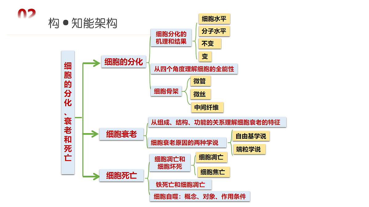18202570第7页