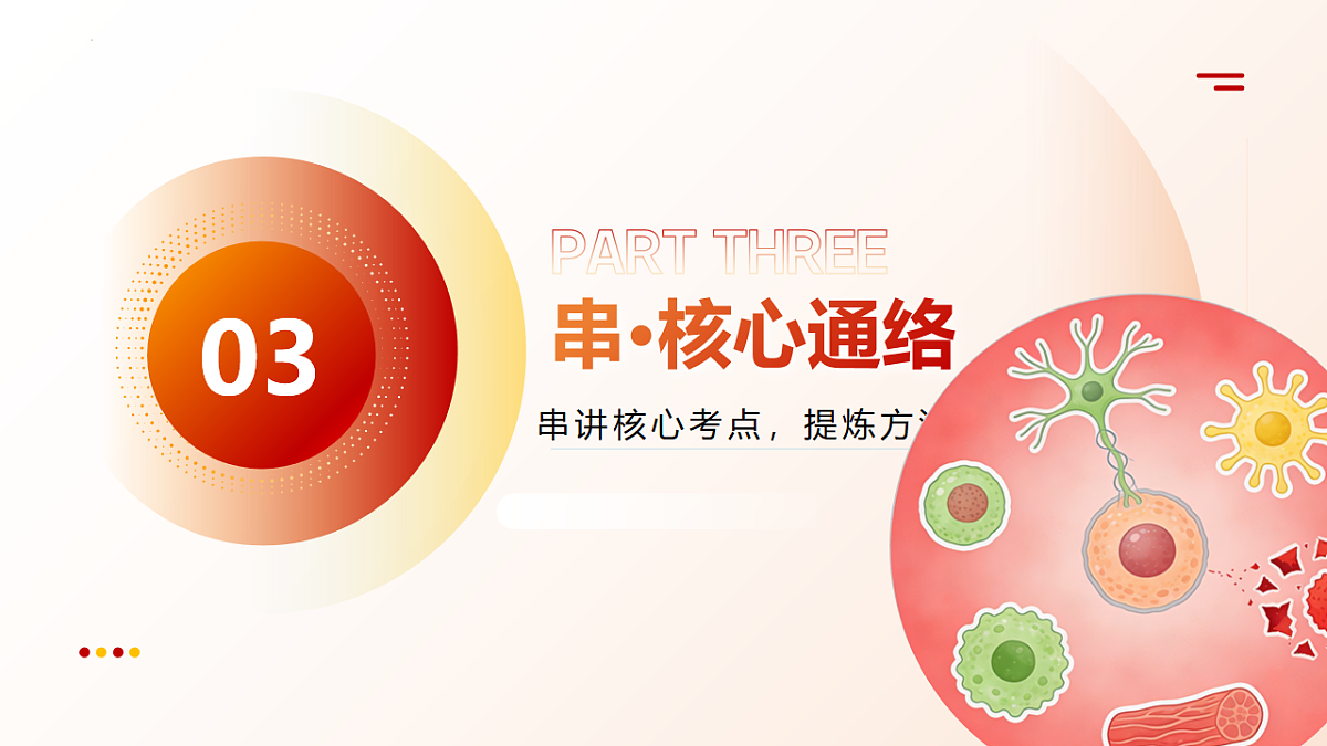 18202570第8页