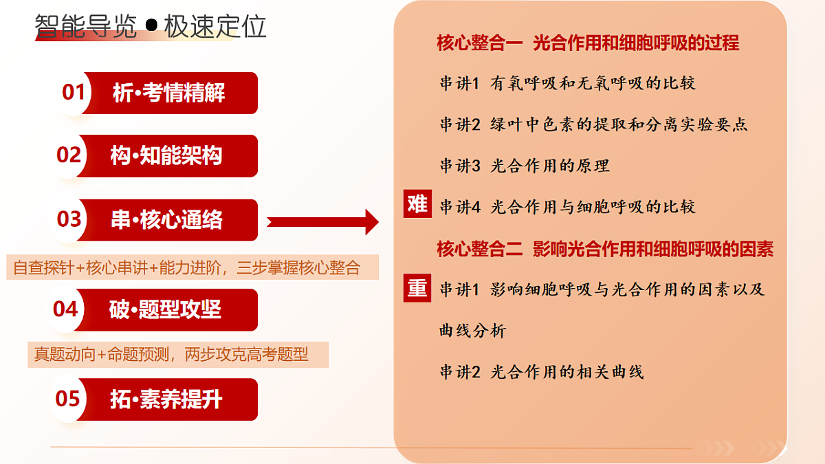18202572第1页