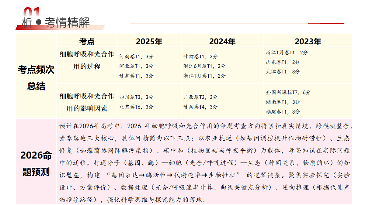 18202572第4页