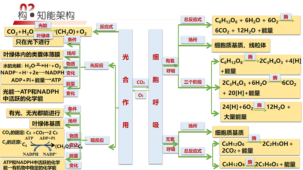 18202572第6页