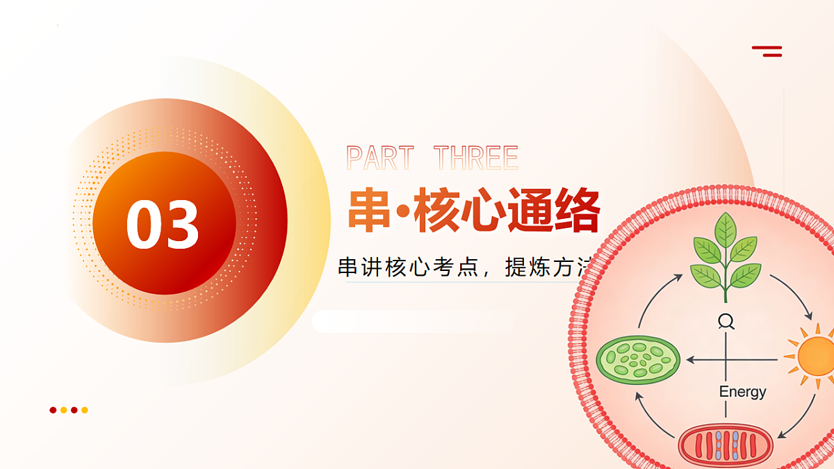 18202572第7页