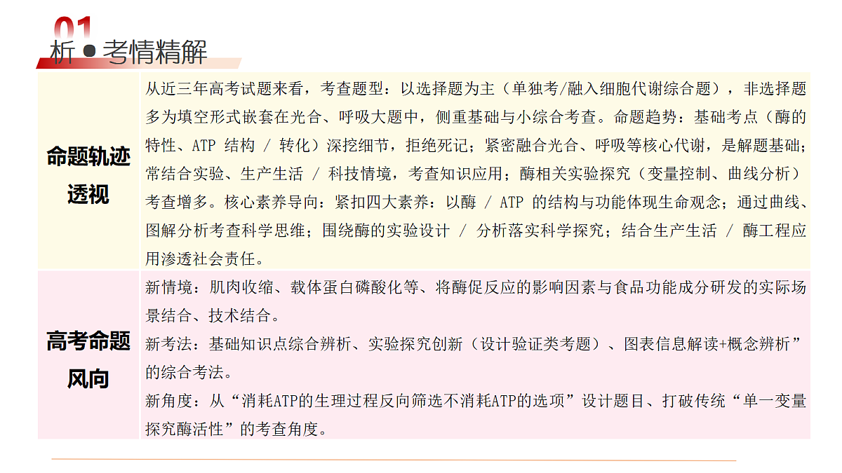18202573第3页