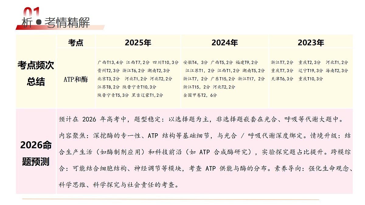 18202573第4页