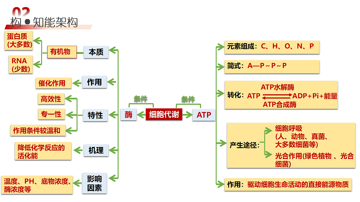 18202573第6页