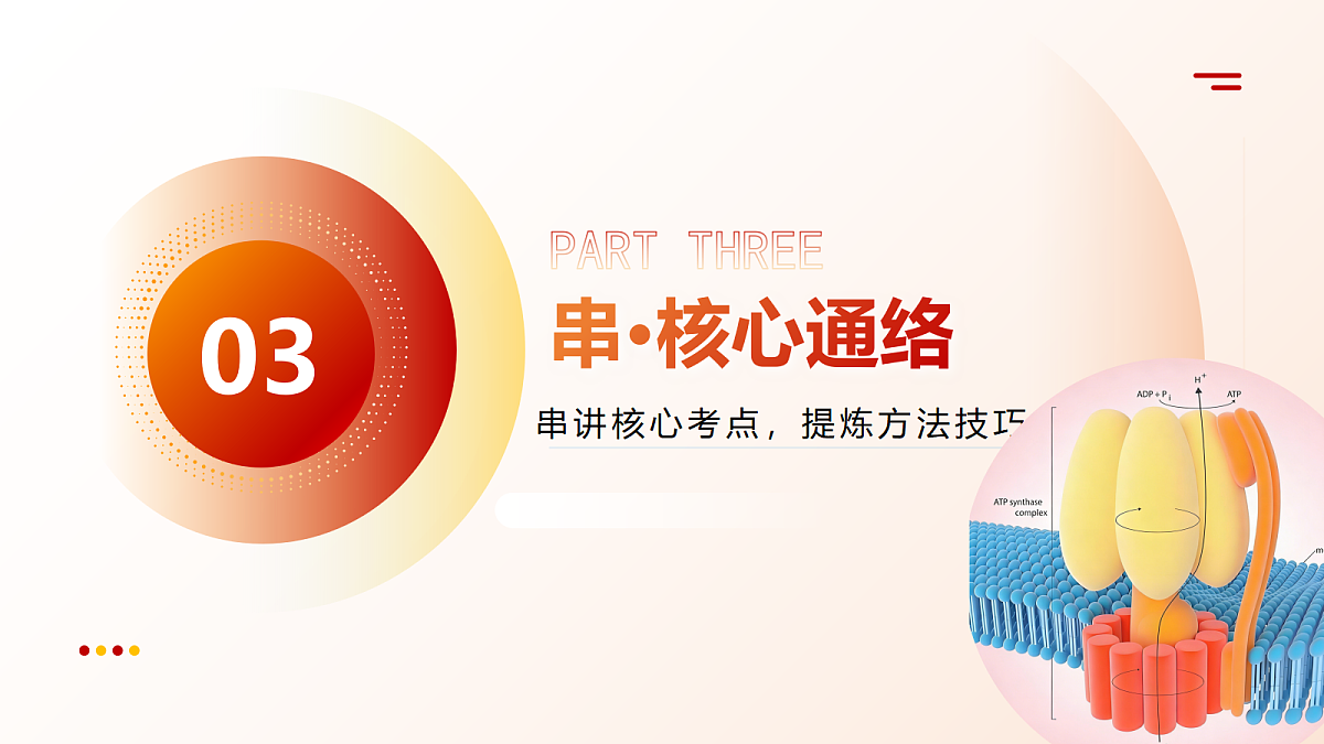 18202573第7页