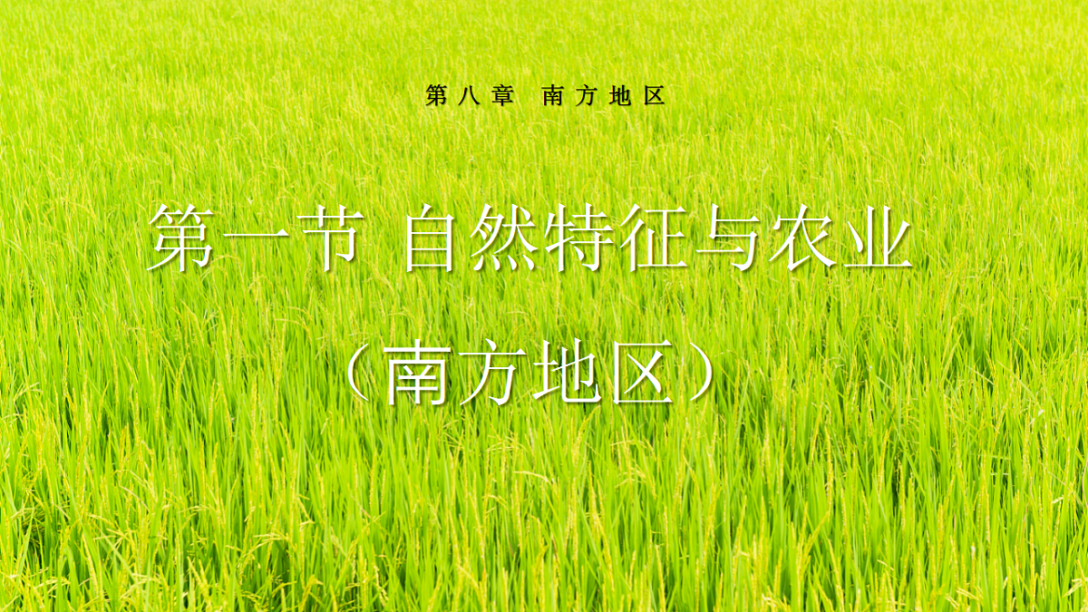 18202803第1页