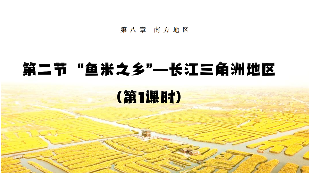 18202804第1页