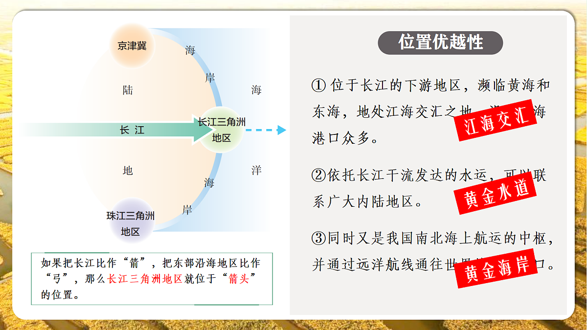 18202804第8页