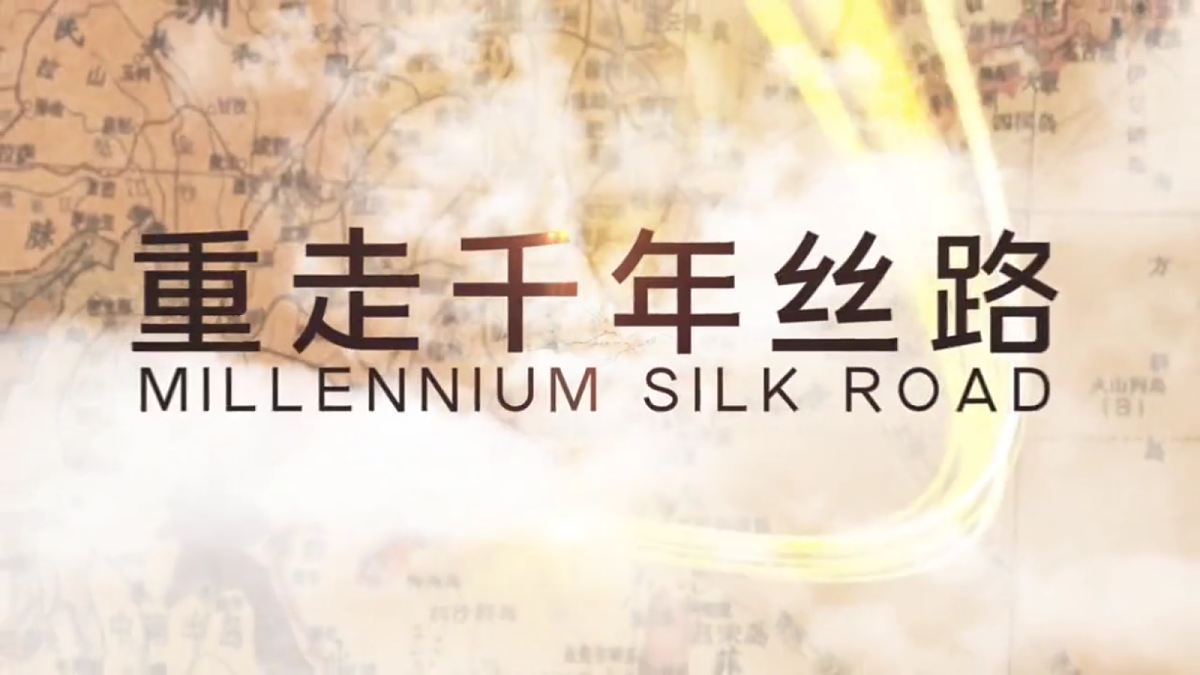 【人教新版】八下第九章 第一节 《自然特征与农业（西北地区）》教学课件第3页