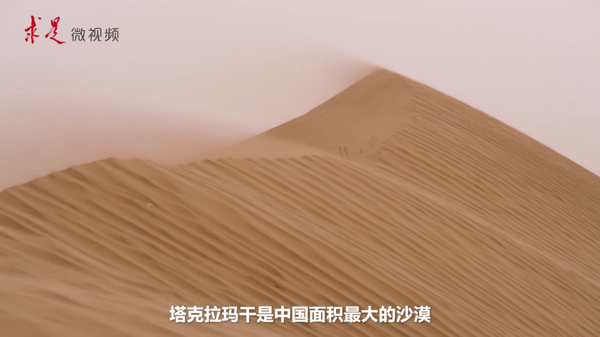 【人教新版】八下第九章 第二节 《干旱的宝地——塔里木盆地》教学课件第3页