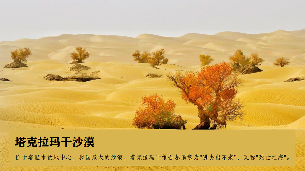 【人教新版】八下第九章 第二节 《干旱的宝地——塔里木盆地》教学课件第6页