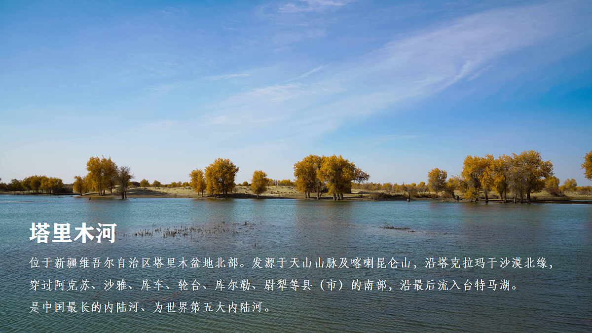 【人教新版】八下第九章 第二节 《干旱的宝地——塔里木盆地》教学课件第8页