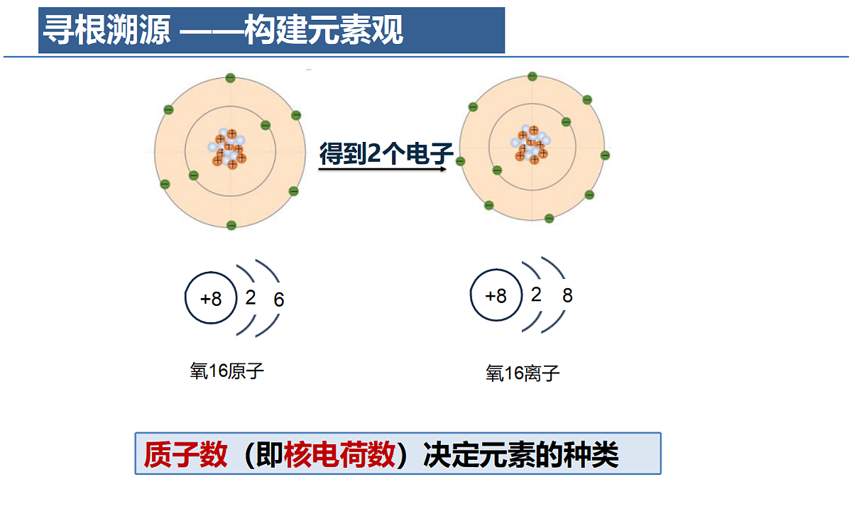 18204537第7页