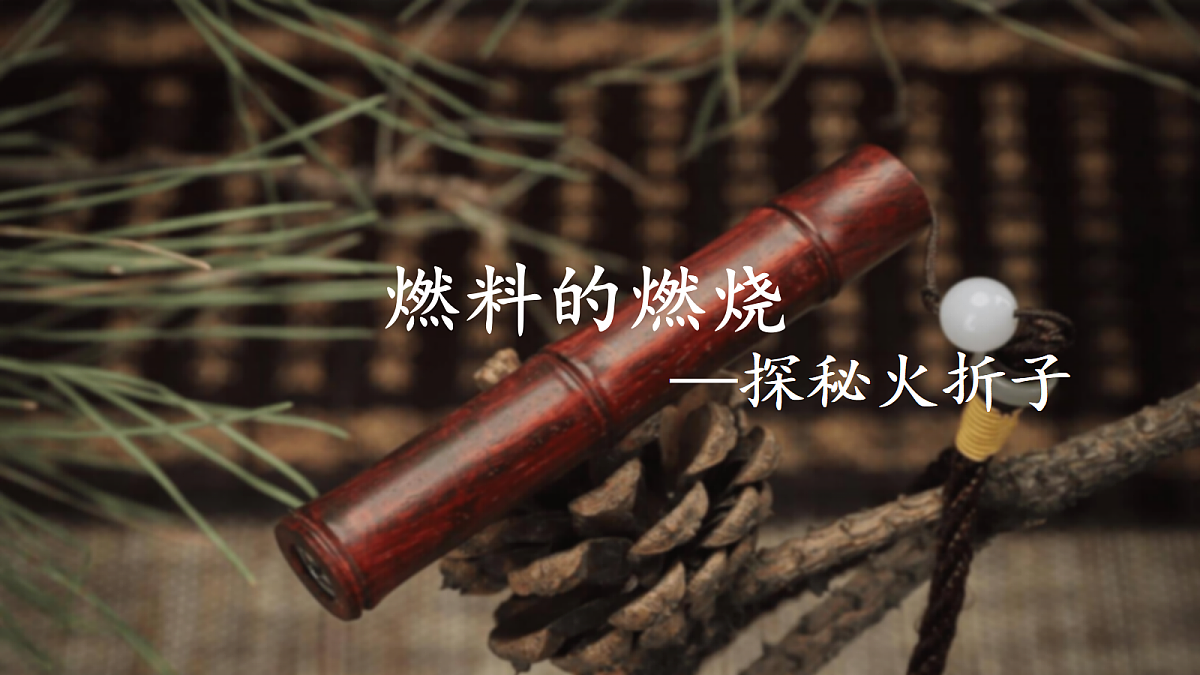18204541第1页