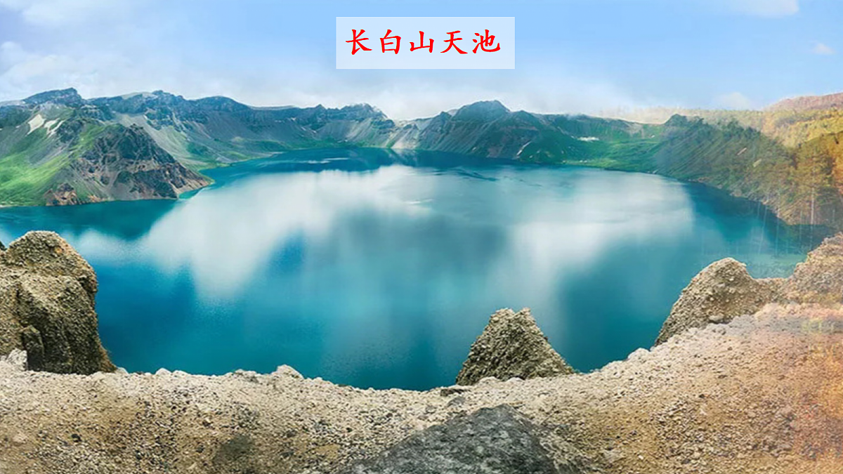 18204588第4页