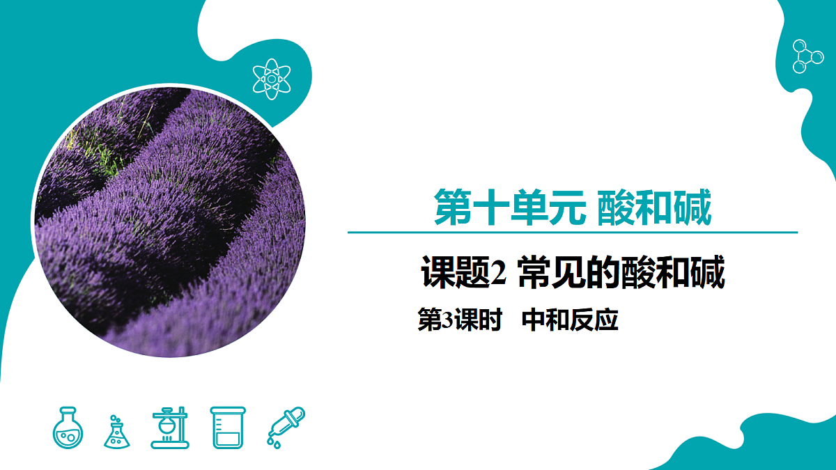 18204591第1页