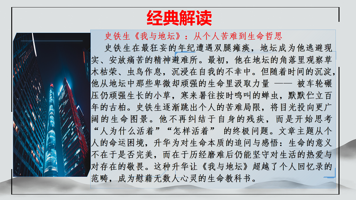 18204607第7页