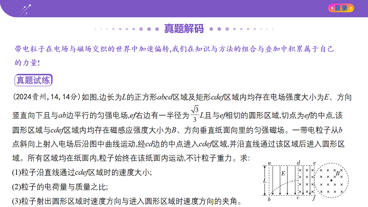 18204621第2页