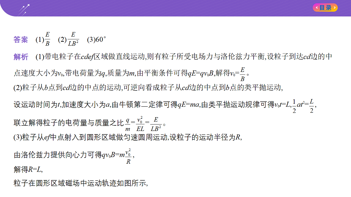 18204621第3页