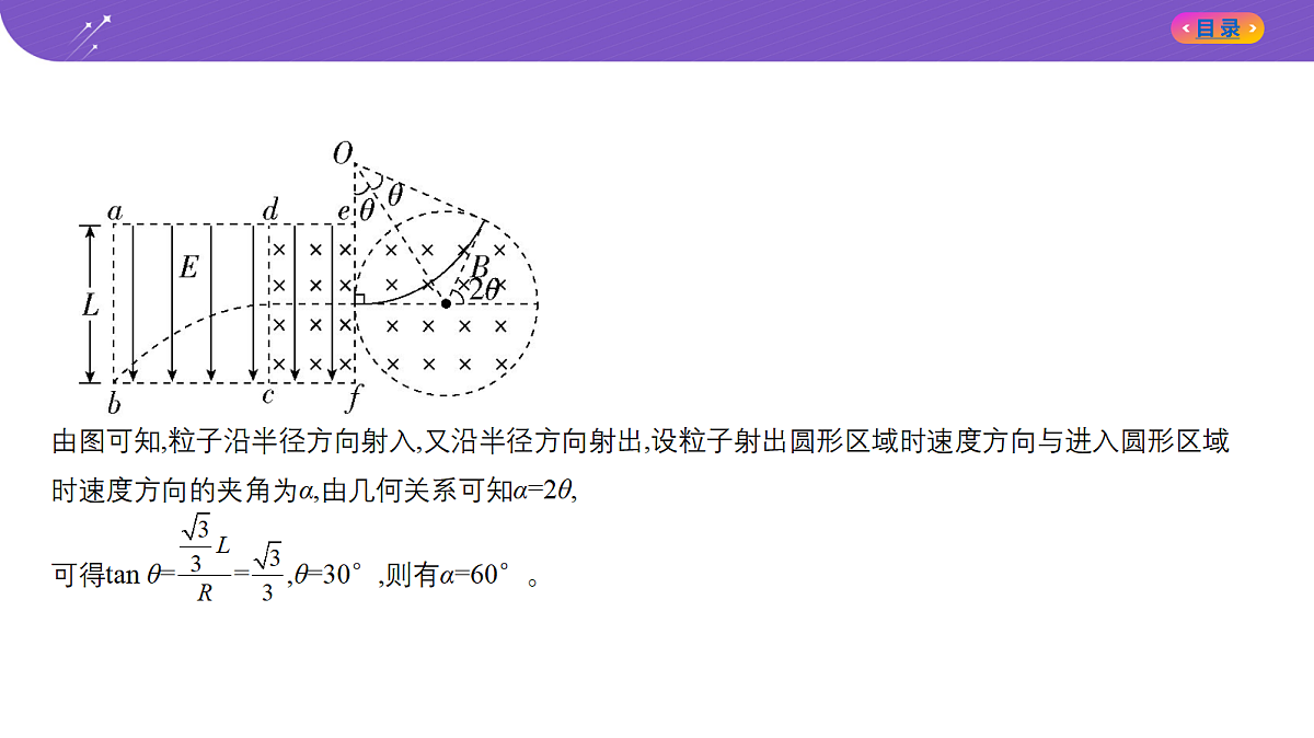 18204621第4页