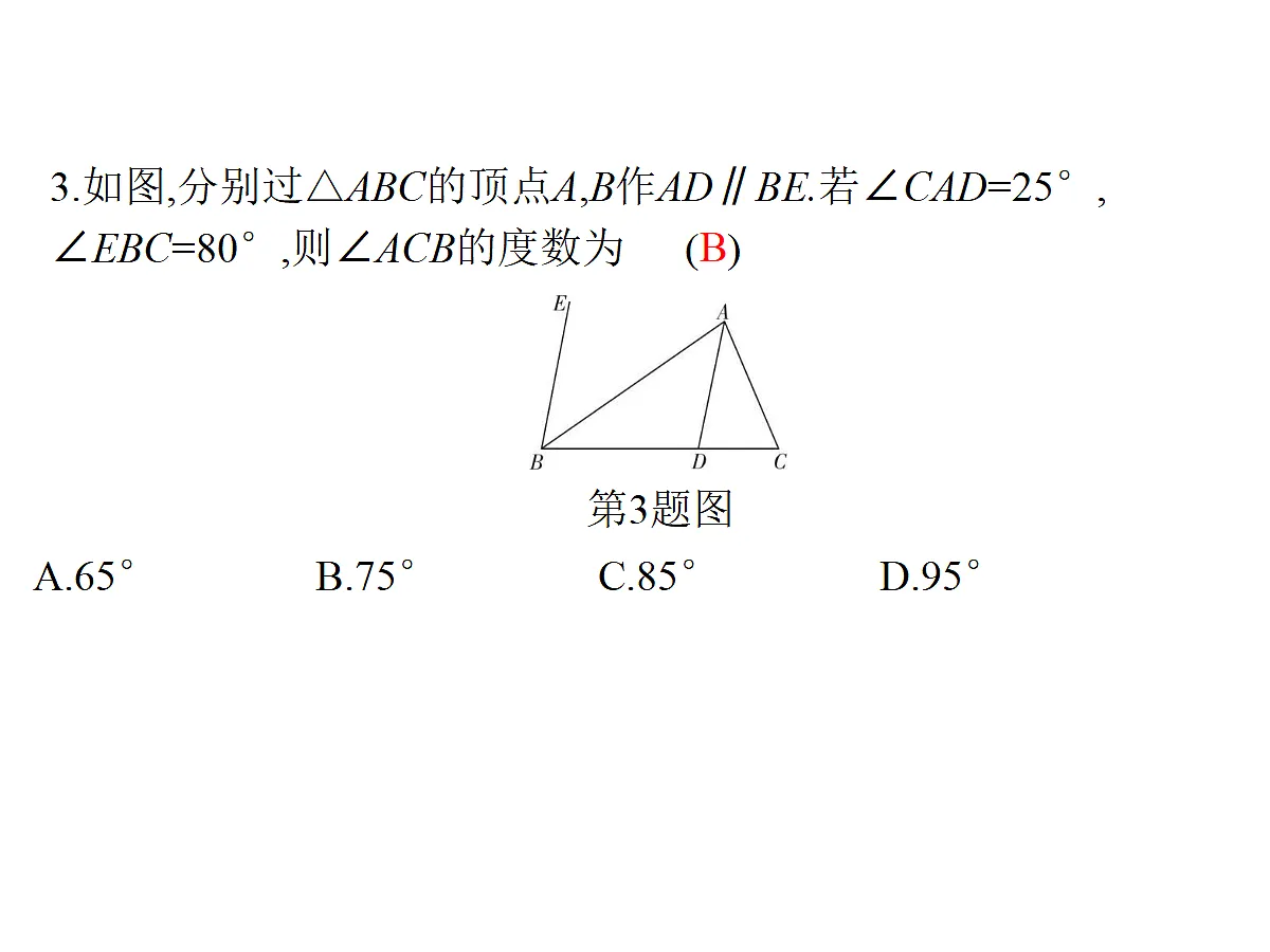 18204986第4页
