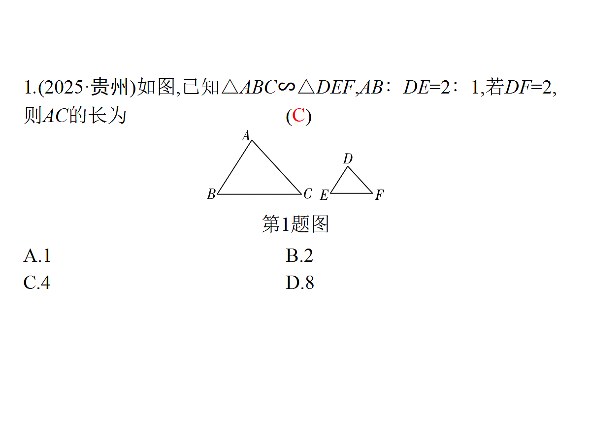18204989第2页