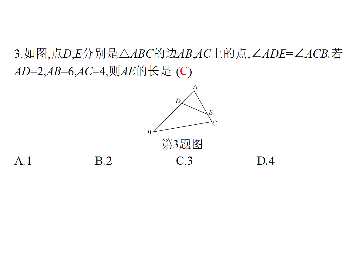 18204989第4页