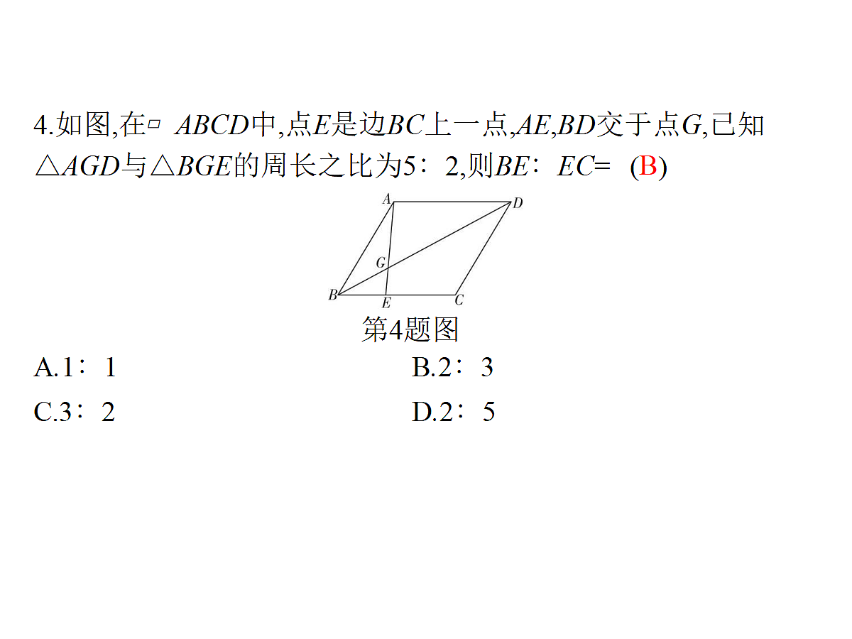 18204989第5页
