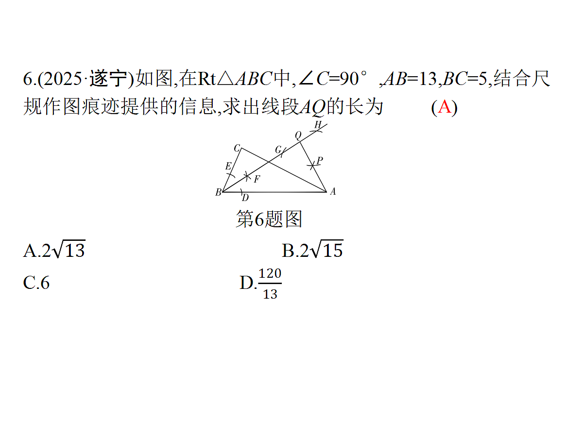 18204989第7页