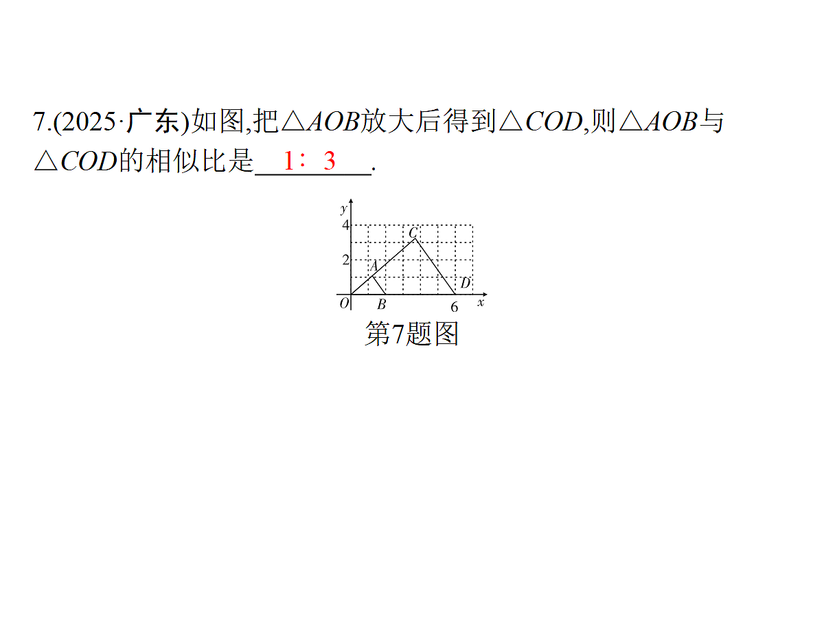 18204989第8页