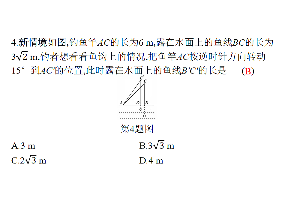 18204990第5页