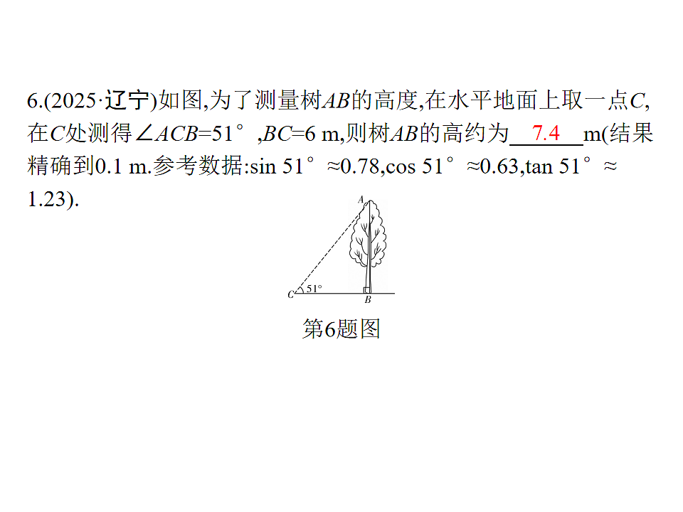 18204990第7页