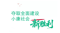 人教版（2024）八年级下册（2024）第16课 夺取全面建设小康社会新胜利教课内容ppt课件