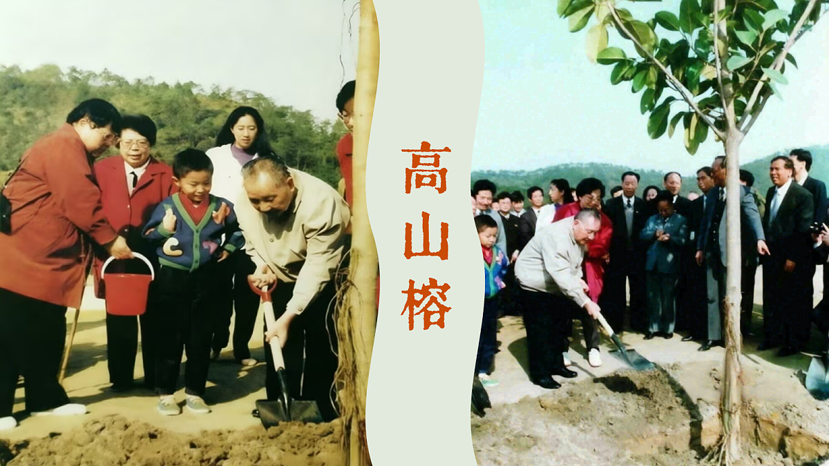 18205959第1页