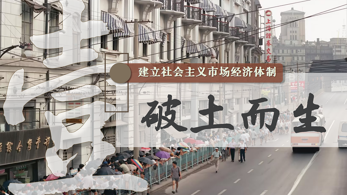 18205959第3页