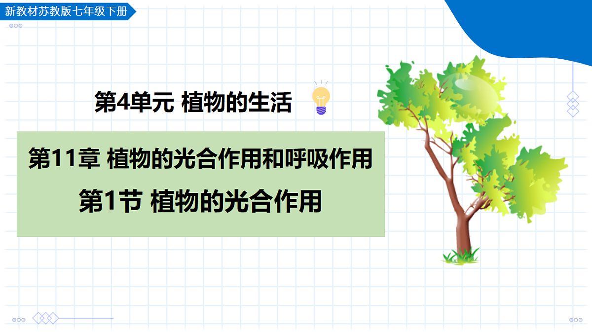 18205971第1页