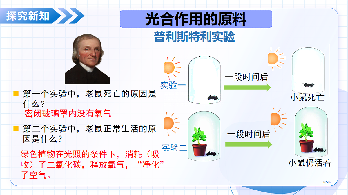 18205971第8页