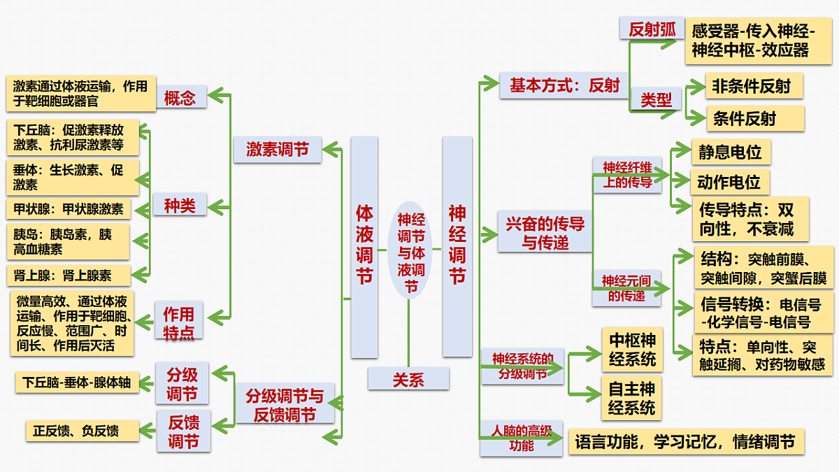 18205985第2页