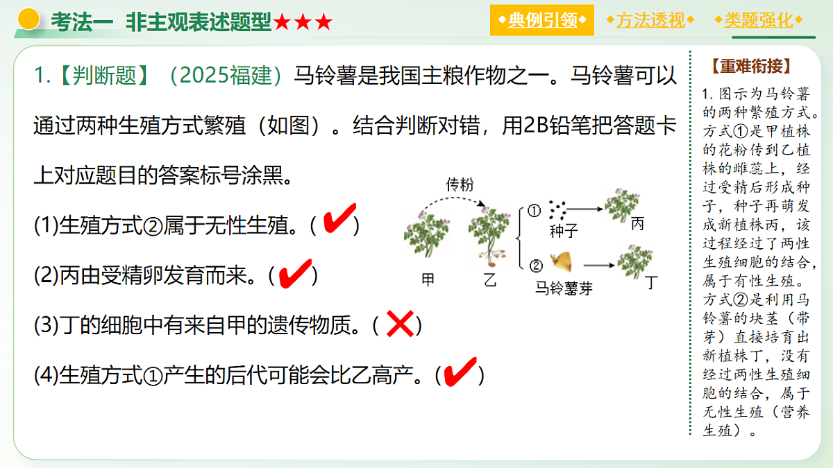 18205991第8页