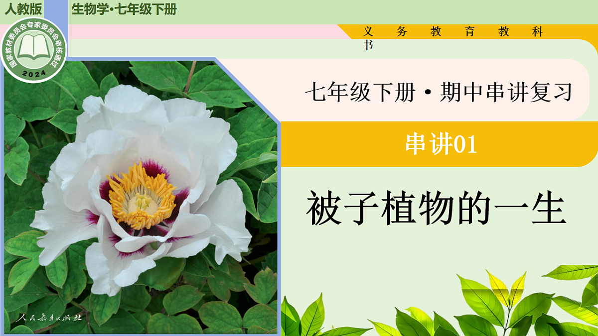 18205994第1页
