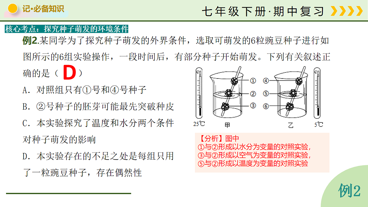 18205994第8页