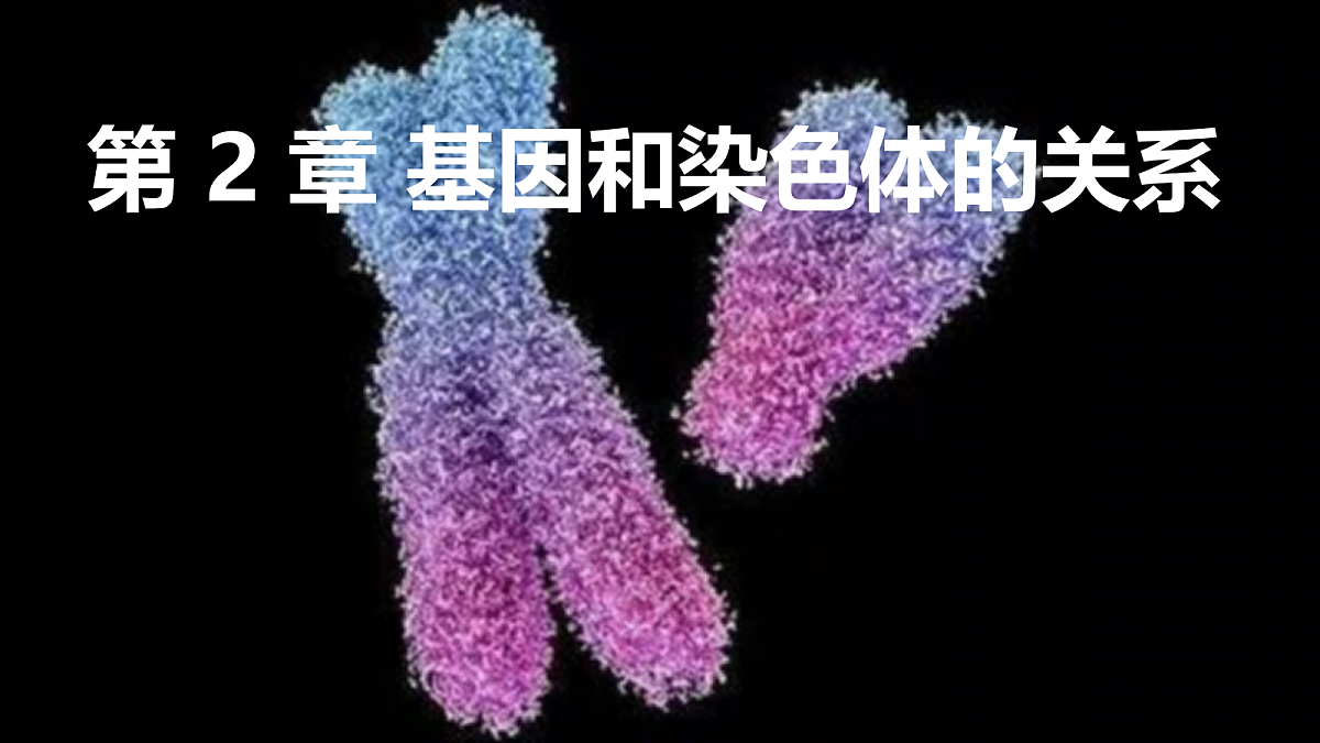 18205996第1页
