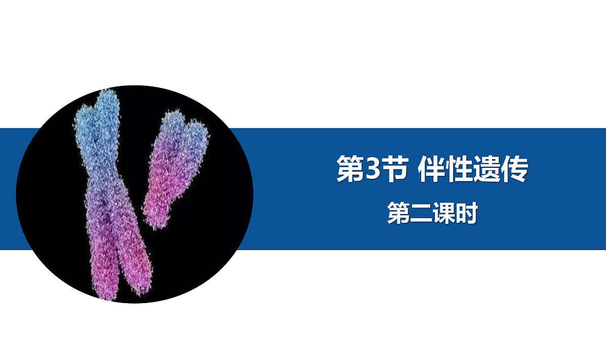 18205996第2页