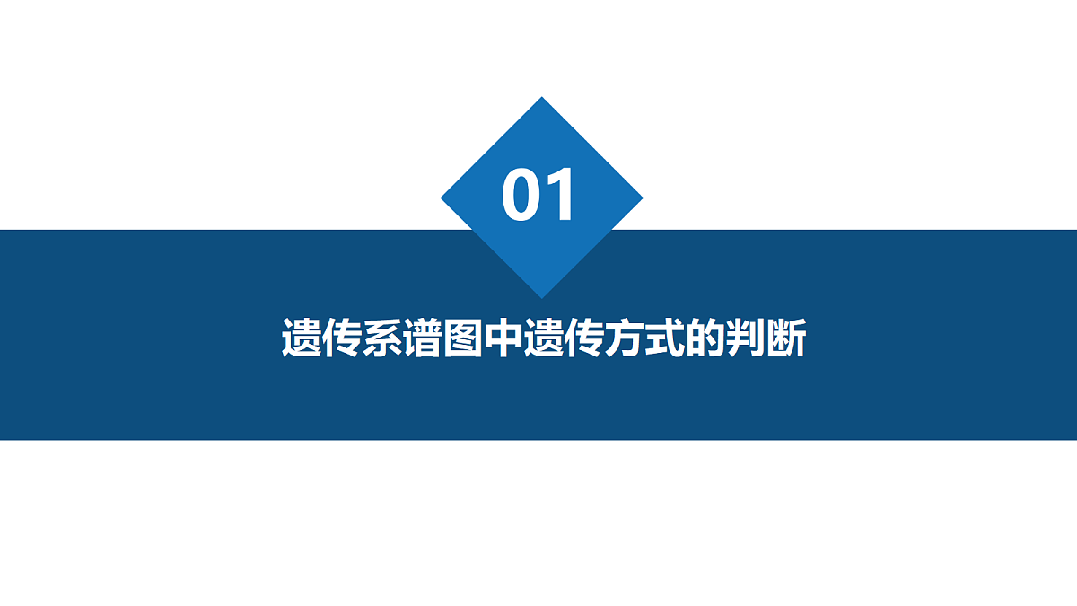 18205996第3页